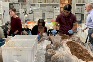 El pasado de Burriana con realidad aumentada: Estudiantes de toda Europa acuden hasta el Museo Arqueológico