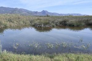 Benicàssim comienza a dar luz verde al proyecto que acabará con las inundaciones en una de las zonas de más riesgo