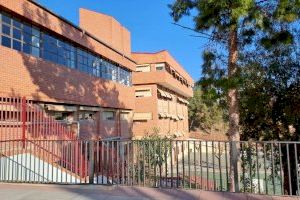 El Ayuntamiento de Elche retirará 93 palmeras de centros educativos para garantizar la seguridad del alumnado