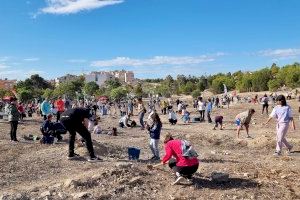 Más de 1.600 personas participan en la reforestación de otoño de ‘Alicante Renace’ en el entorno de Villafranqueza