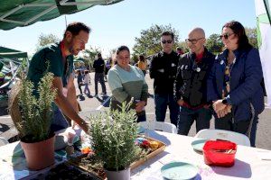 Alaquàs celebra el X Aniversari dels Horts Urbans