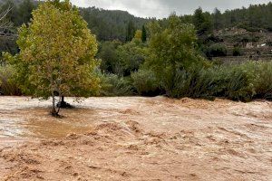 Crescuda del riu Millars aquest dimarts al seu pas per Montanejos