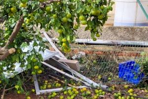 LA UNIÓ demanarà la declaració de zona catastròfica per a les zones de la Comunitat Valenciana afectades per la DANA