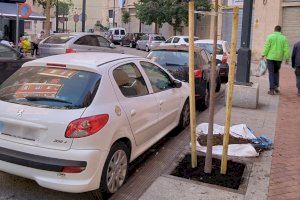 Alcoy repone los alcorques vacíos de la calle Músics Pérez Monllor y los cruces de Santa Rosa