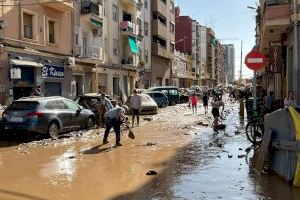 GALERÍA | Valencia se moviliza para ayudar en las zonas más afectadas por la DANA: solidaridad para limpiar y repartir comida