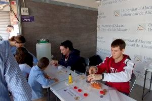 La Universidad de Alicante destina la recaudación de la Fira de Cocentaina a los afectados por la DANA