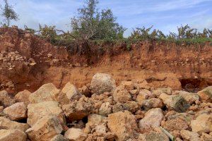 Derribo de muros, de vides emparradas, arrastre de tierras y caminos rurales desaparecidos: así ha arrasado la DANA campos de Requena-Utiel