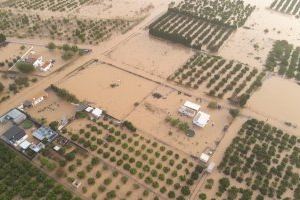 La otra cara de la DANA: Retiran 3.000 animales muertos de las granjas destruidas por el agua