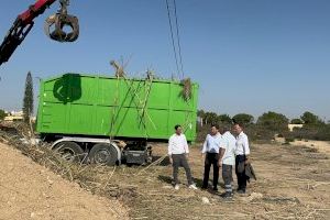 Elche inicia la inspección y limpieza de barrancos