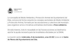 El Ayuntamiento de Elda organizará iniciativas solidarias para ayudar en materia de Protección Animal a los municipios afectados por la DANA