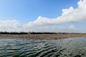 El Ayuntamiento de València realiza controles sobre el nivel del agua de l’Albufera para garantizar la seguridad de la zona