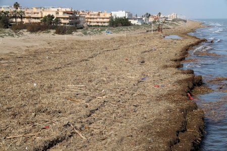 Cullera cierra las playas e inicia el trámite para la limpieza urgente