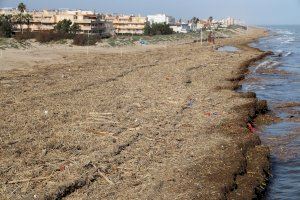 Cullera cierra las playas e inicia el trámite para la limpieza urgente