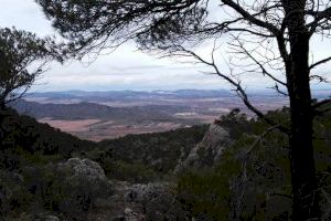 Villena inicia una batalla contra el proyecto de tres plantas solares en Sierra Salinas