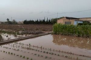 Diversas organizaciones lanzan una campaña para ayudar a los agricultores y agricultoras afectados por la DANA en València