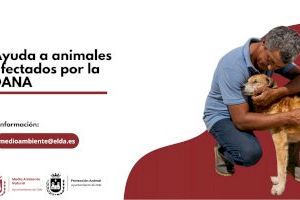 Elda organizará una feria solidaria y recogerá fondos para ayudar a las asociaciones y protectoras animalistas afectadas por la DANA