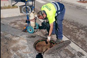 Almassora refuerza el tratamiento contra el control de plagas después de las lluvias