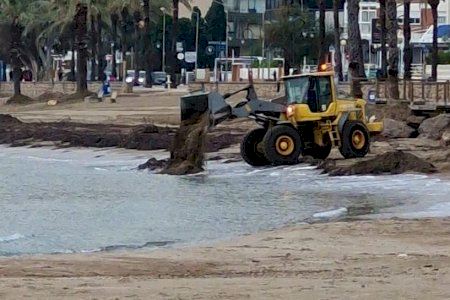 Compromís per Benicàssim presenta una Declaració Institucional en suport als afectats per la DANA i sol·licita l’enviament de maquinària