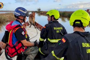 Queda prohibido navegar por la Albufera mientras se busca a los desaparecidos