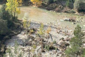 Canet lo Roig segueix sense aigua potable després de la DANA