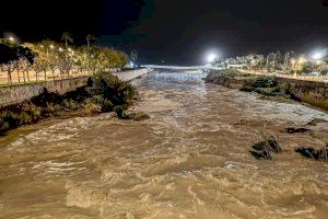 Los otros 33 municipios valencianos afectados por la DANA y que también necesitan ayuda urgente