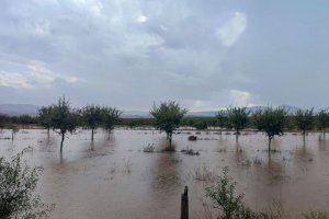 Nota informativa especial de Emergencias ante un nuevo episodio de lluvias a causa de otra DANA en la Comunitat Valenciana