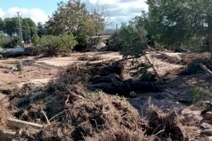 Bodegas y cooperativas de la DO Valencia reclaman soluciones logísticas tras los daños de la Dana