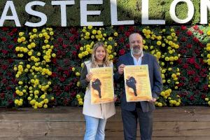 Salud Pública organiza en Castellón la II Jornada de Colonias Felinas para promover el cuidado y control de los felinos en el espacio urbano