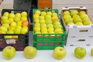 Torrebaja acoge la X Feria de la Manzana Esperiega del 15 al 17 de noviembre