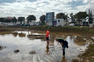 El Ayuntamiento de València pone en marcha un plan intensivo de control de plagas en las pedanías afectadas por la DANA