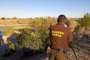 Luchar contra las cañas invasoras y proteger al Acrocephalus Paludicola: los retos del río Millars en Burriana, Vila-real y Almassora