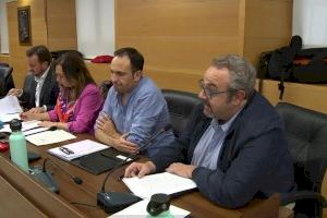 El PP de Nules pide garantizar el trabajo de los agricultores en el campo con medidas de seguridad