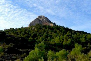 Medioambiente intensifica labores de prevención de incendios forestales en el Peñón de la Ofra