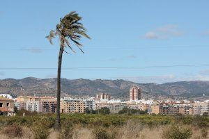 'Aviso especial' del 112 por otro suceso meteorológico que hace saltar las alarmas en la Comunitat Valenciana: ahora, un temporal de viento