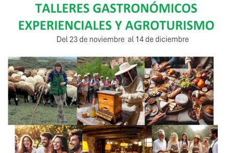 La Universitat d’Alacant imparteix tallers gastronòmics experiencials