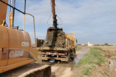 La Generalitat inicia la segunda fase del plan de choque para reducir en L’Albufera los efectos provocados por las recientes inundaciones