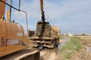 La Generalitat inicia la segunda fase del plan de choque para reducir en L’Albufera los efectos provocados por las recientes inundaciones