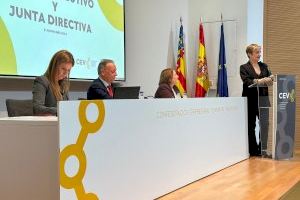 La CEV presenta un paquete de medidas urgentes para mitigar los efectos de la DANA en el ámbito autonómico, provincial y local