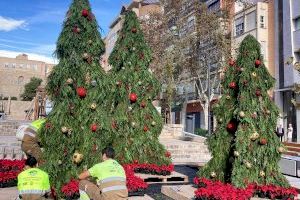 Alicante tapiza de flores y adornos navideños espacios emblemáticos de la ciudad