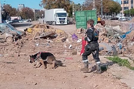 Los perros de la Asociación nuciera Geir-K9 colaboran en la zona de la DANA