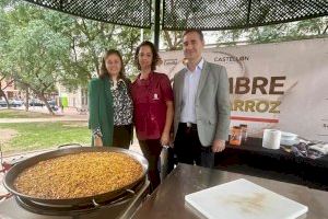 El Patronat de Turisme celebra un showcooking d'arròs al senyoret en el marc del ‘Mes de l'Arròs’