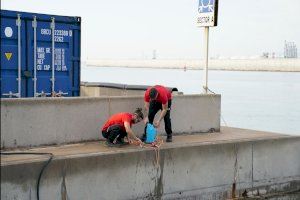 Portcastelló apuesta por la regeneración marina con  La instalación de seis estructuras para renaturalizar el área portuaria