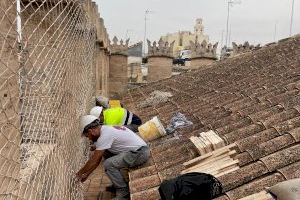 Comencen els treballs de reparació del mur del capcer de la Llotja que va patir despreniments