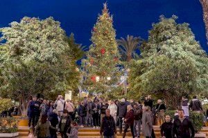 Este domingo, 1 de diciembre, a las 18:00 horas, se realizará el encendido del árbol de navidad procedente de Suecia