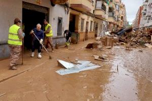 Avisan de la transmisión de enfermedades por mosquitos tras la DANA: brotes de hepatitis A o del virus del Nilo