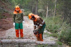 Las Brigadas de la Diputació de València culminan la limpieza de los caminos forestales afectados por la Dana