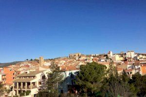 Indulge en el lujo de la naturaleza: descubre el oro negro de un pueblo de Castellón en la feria más antigua de España