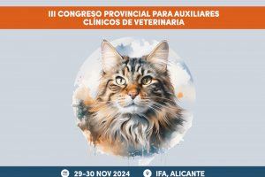 La “Geriatría felina” será el tema central del VII Congreso Provincial de Centros Veterinarios de Alicante