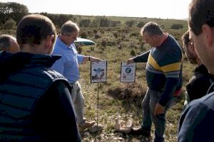 Pastores virtuales: el mundo rural de Castellón mira al futuro