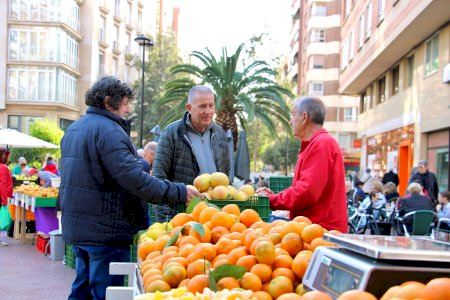 El Mercat de la Taronja de Castellón consolida las naranjas locales con más de 20 puestos de venta